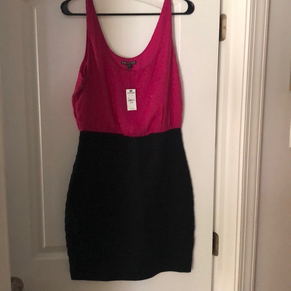 Express Bodycon Dress